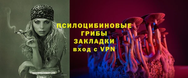 спиды Богданович