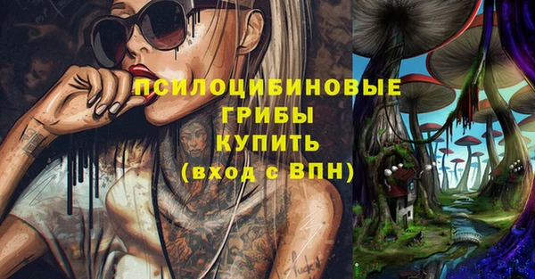 Альфа ПВП Богородск